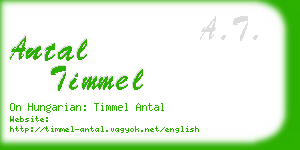 antal timmel business card